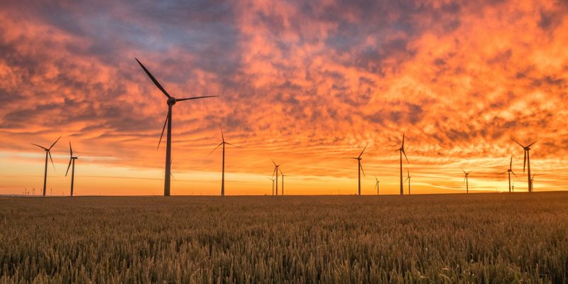 Windmolens - Éoliennes - Wind turbines | Photo by Karsten Würth on Unsplash